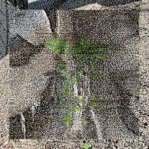 Love & Pain (feat. Omar Duro)