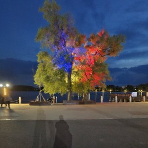 NOBODY（beat by 圣玛伊伦斯）