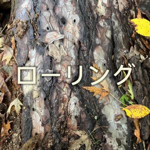 ローリング