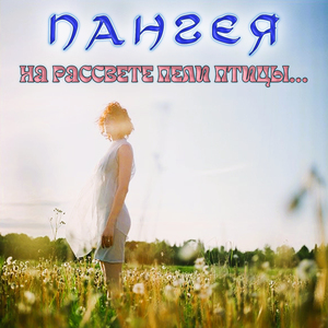 На рассвете пели птицы...