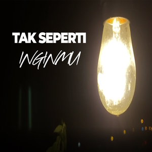 Tak Seperti Inginmu (Acoustic Version)