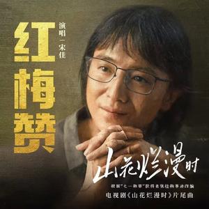 红梅赞（翻自 宋佳）