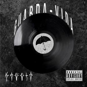 Guarda-Vida