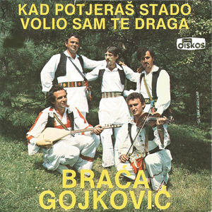 Volio sam draga