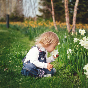 Sabedoria divina _conselhos de amor