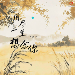 用尽一生想念你