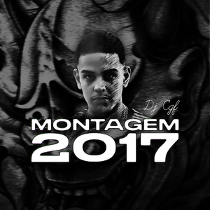 Montagem 2017