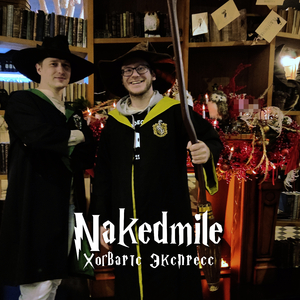 хогвартс экспресс