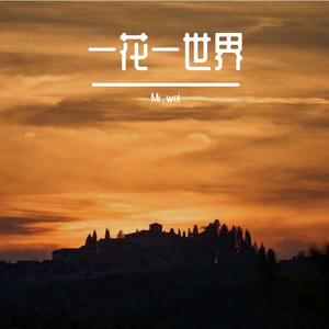 一花一世界