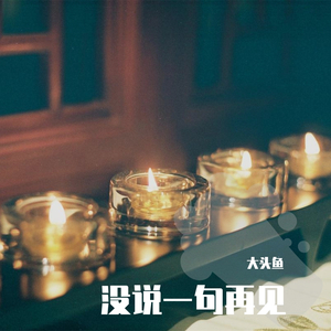 没说一句再见 伴奏