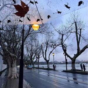 侧脸（氛围版）