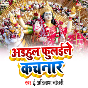 Adahul Phulile Kachnar