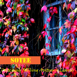 Catching Falling Autumn Leaves