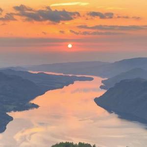 三生三世十里桃花