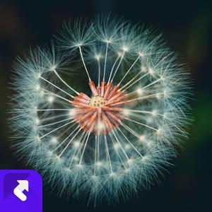 模糊的回忆 (现场)