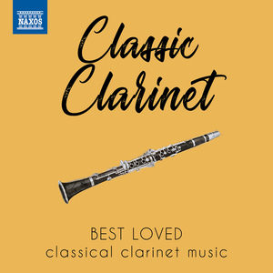 Clarinet Concerto in A Major, K. 622: II. Adagio