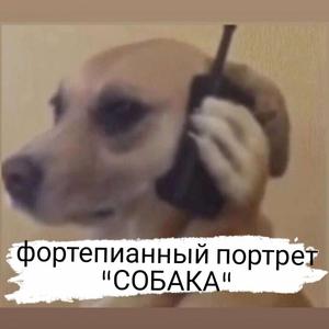 собака отказалась от ипотеки