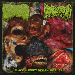 BLACK MARKET ORGAN DEALER