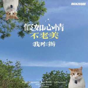 假如心情不老美我咋办