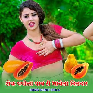 Shek Papita Pav Ri Bhayela Dildar
