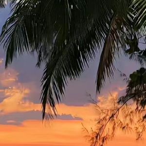 夜空中最亮的星