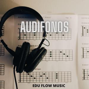 AUDIFONOS