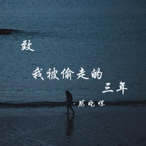 致我被偷走的三年