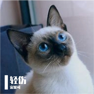 轻伤
