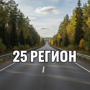 25 регион