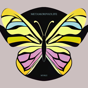 Metamorpholife