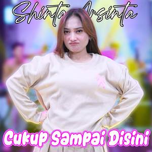 Cukup Sampai Disini