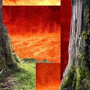 cheshire (feat. 1laulau)