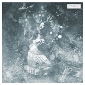 Remnants of a Blazing Sun