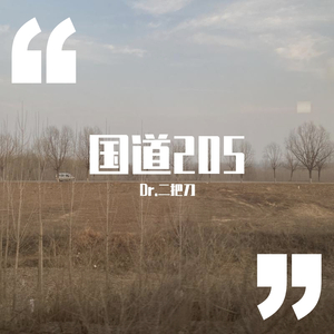 国道205