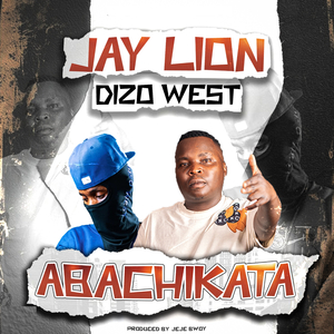 Abachikata