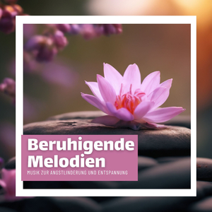 Nachtzeit Meditation