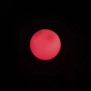 最后我们都被自己吃掉了