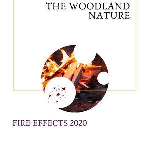 Fire Burning at Night