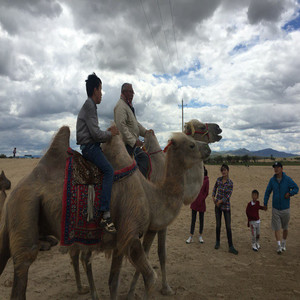 The Breath of the Steppe