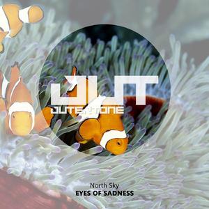 Eyes of Sadness