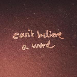 Can't believe a word