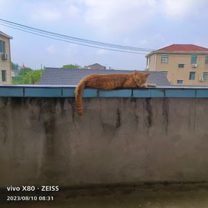 ●Are ❁you ♡crazy♡づ