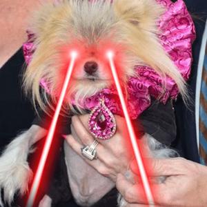 when i grow up i wanna be brandi glanville<3 (feat. lilchocholat)