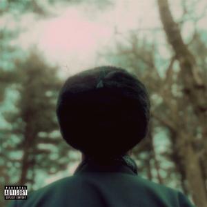 WILD RIDE (feat. the Bard)