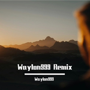 Waylon Kids-Everything You Do-（Waylon-ChAn.Remix)