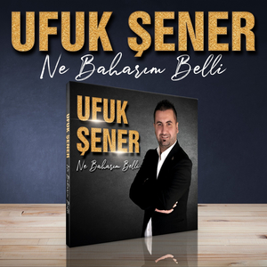 Aşağıdan Bir Yel Esti