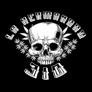 Consumo,Biter Crack,Hierba mala,Elsam,El mente