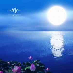 笑忘书 (采耳放松扬琴曲)