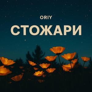 СТОЖАРИ