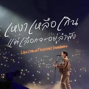 เหงาเหลือเกินแต่เลือกจะอยู่ลำพัง (Live Concert)